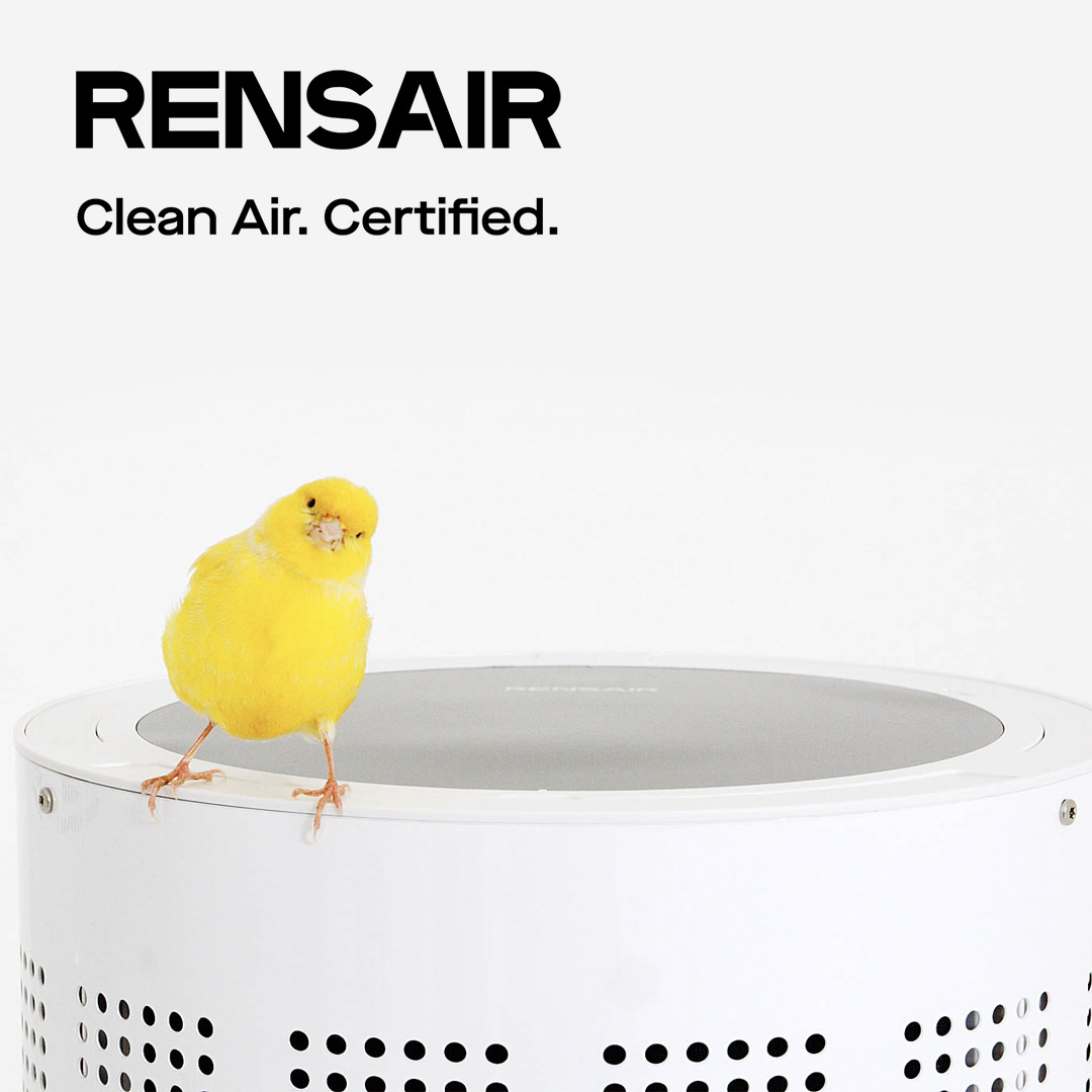 Rensair_Canary_Square