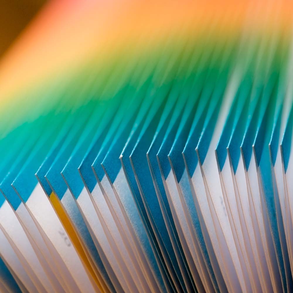 Collateral, Design Packaging